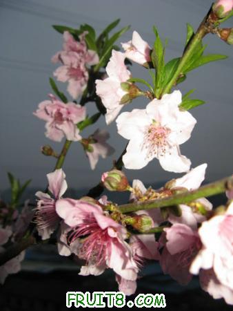 IMG_4028.JPG