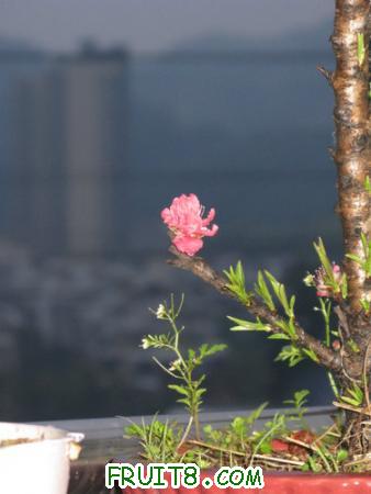 IMG_4033.JPG