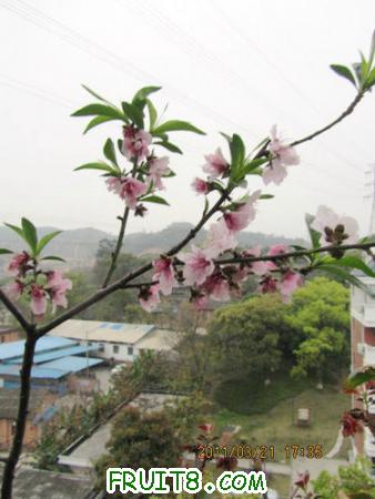IMG_7338.JPG