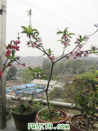 IMG_7337.JPG