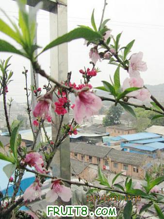 IMG_7340.JPG