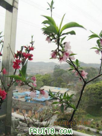 IMG_7339.JPG