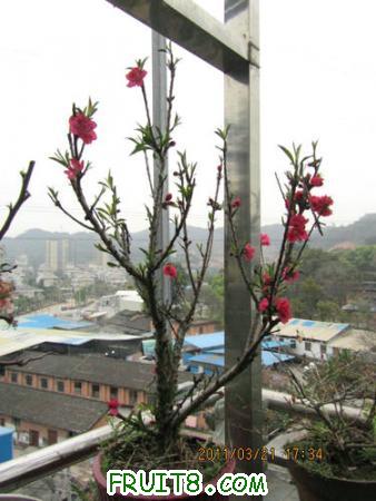 IMG_7327.JPG
