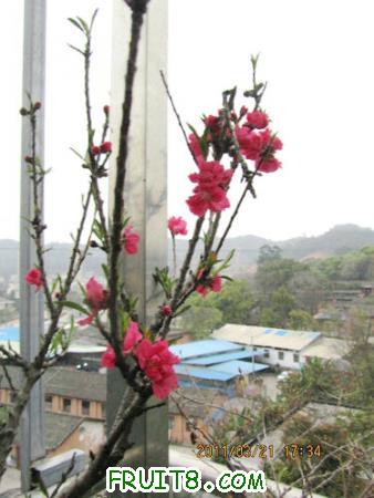IMG_7328.JPG