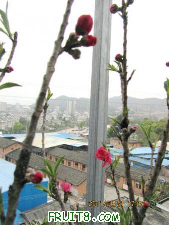 IMG_7331.JPG