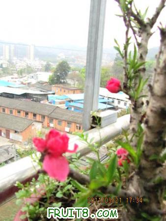 IMG_7330.JPG