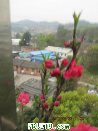 IMG_7334.JPG