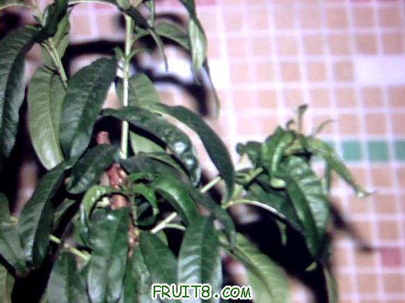 ͼƬ 004.jpg