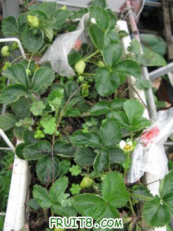 IMG_6193.JPG