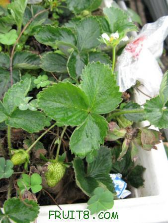 IMG_6195.JPG
