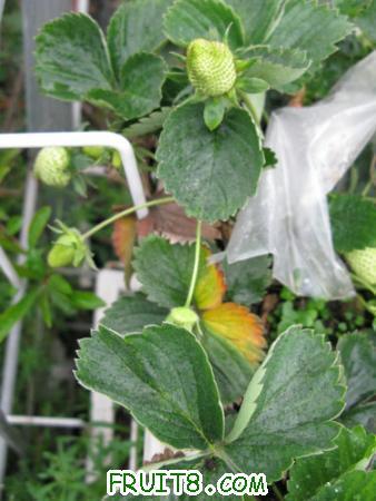 IMG_6194.JPG