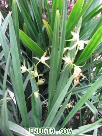 IMG_6484.JPG