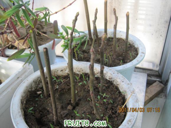 ��Ƭ 021.jpg