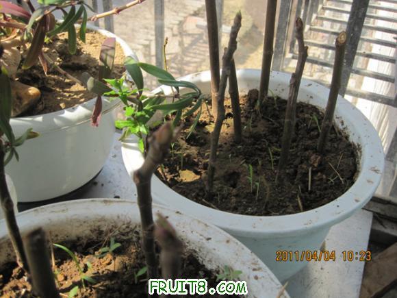 ��Ƭ 025.jpg