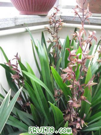 IMG_6489.JPG