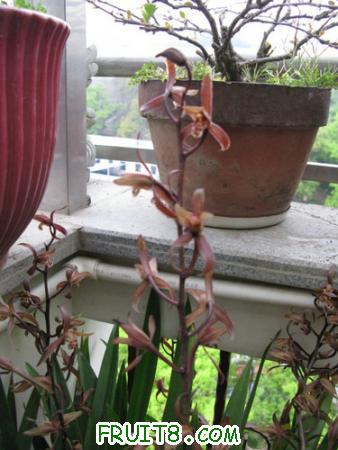 IMG_6495.JPG