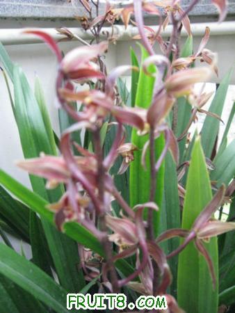 IMG_6499.JPG
