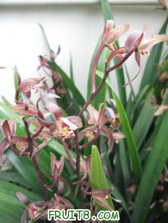 IMG_6525.JPG