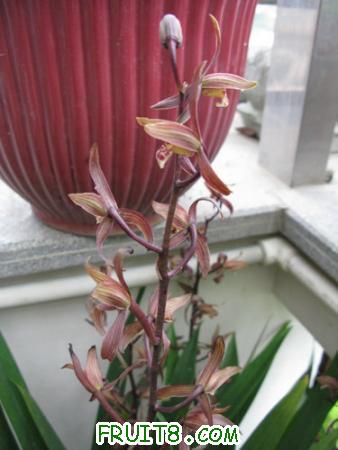 IMG_6523.JPG