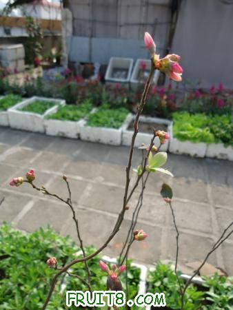 DSC01165.JPG
