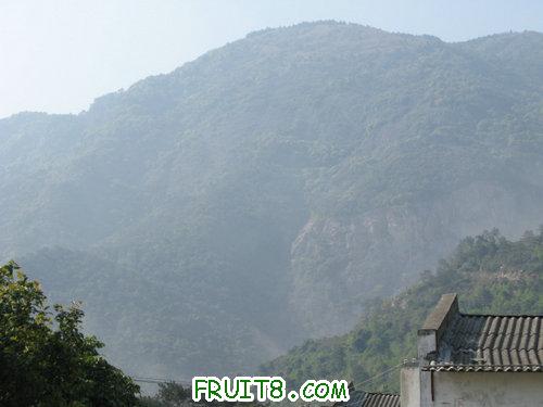 IMG_6675.JPG