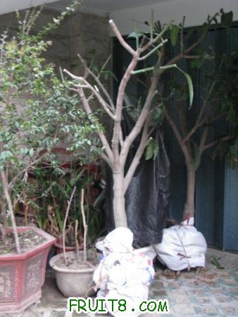 IMG_6837.JPG