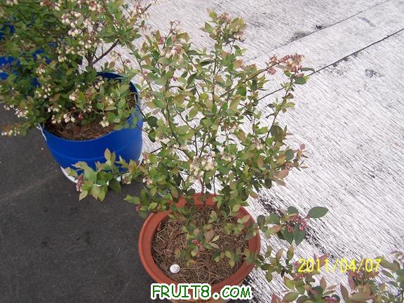 100_1752.JPG