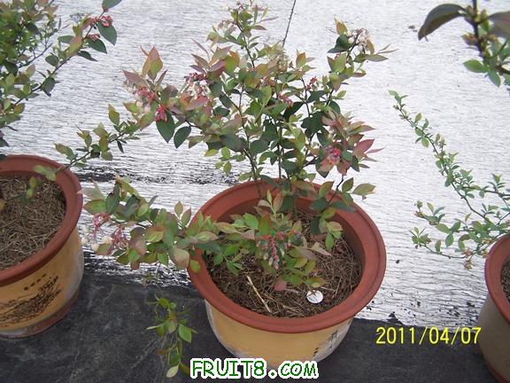 100_1754.JPG