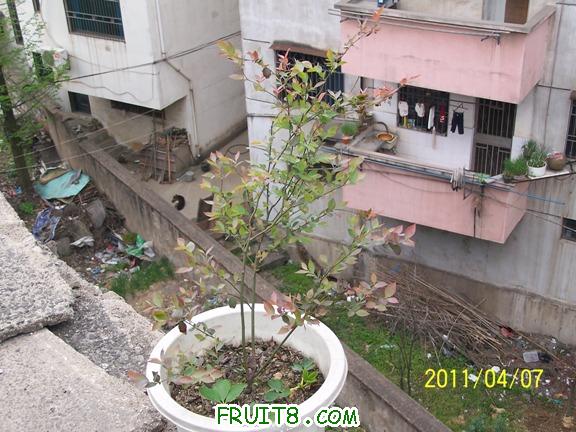 100_1768꣨޻.JPG
