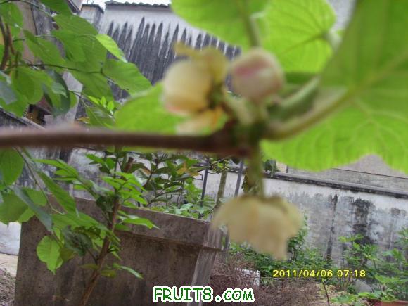 С SI852171.JPG