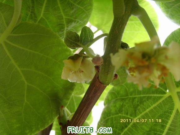 С SI852227.JPG
