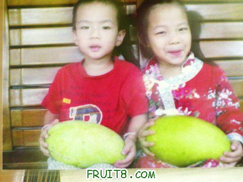 110220233298fa5b50ecdbf8ed.jpg