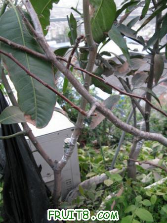 IMG_6918.JPG