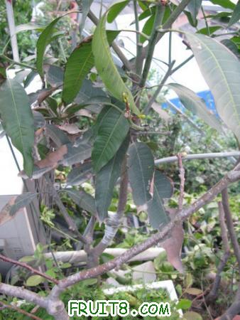 IMG_6915.JPG