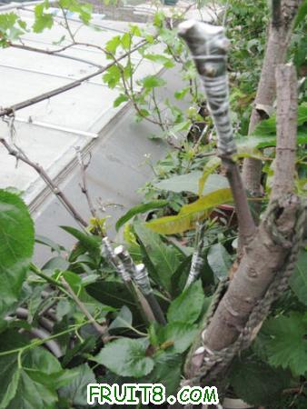 IMG_6942.JPG