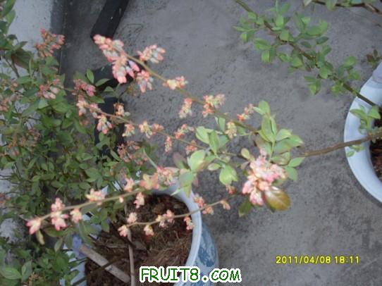 2011-4-8-7.jpg