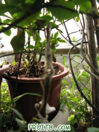 IMG_7127.JPG