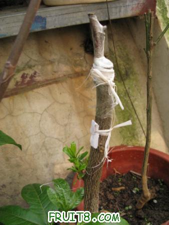 IMG_7113.JPG
