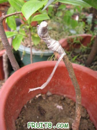 IMG_7183.JPG