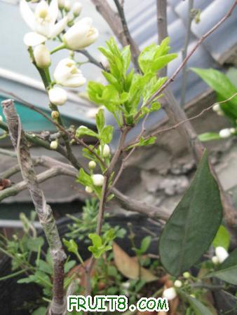 IMG_7359.JPG