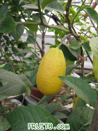 IMG_7234.JPG