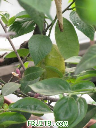 IMG_7236.JPG