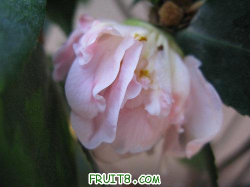 IMG_6854.JPG