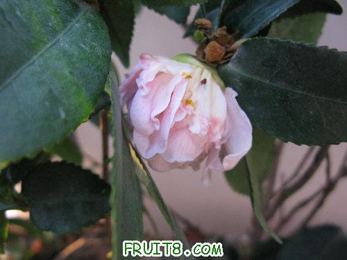 IMG_6853.JPG