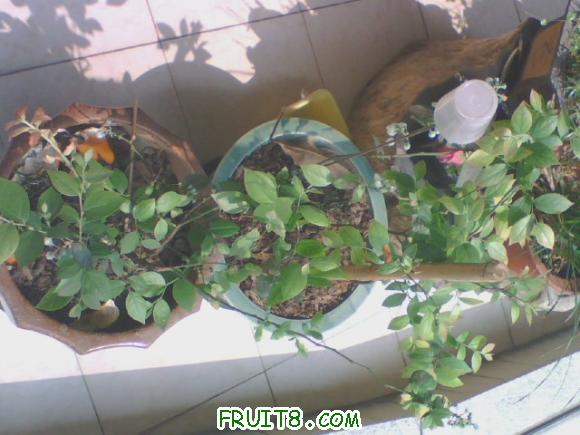 20110408102203.jpg