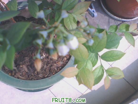 20110408102302.jpg