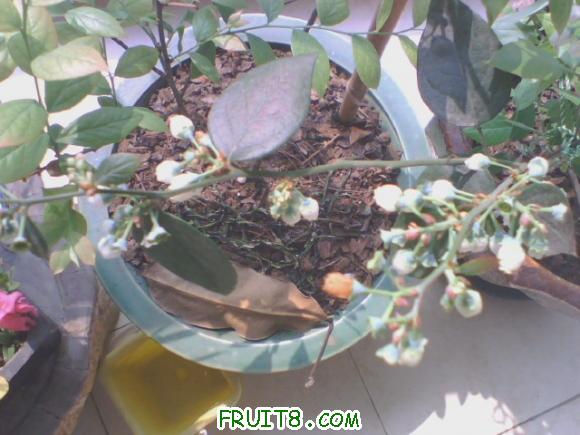20110408102601.jpg