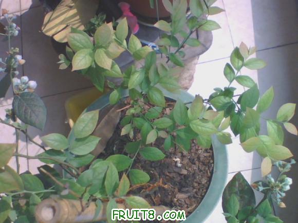 20110408102202.jpg