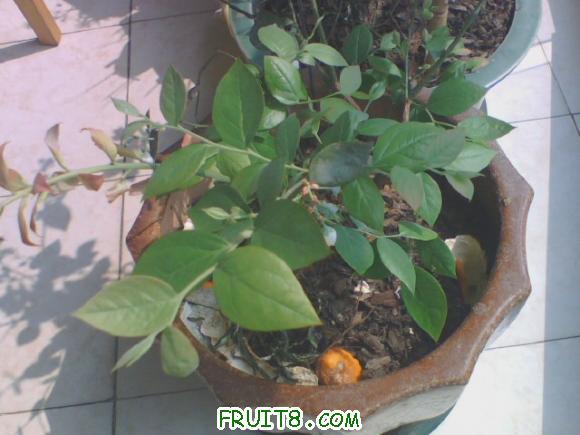 20110408102301.jpg