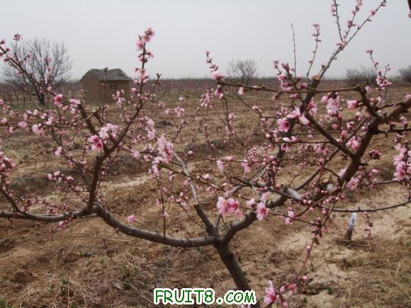 2011.4.10�ռ���������֮�� 024.jpg